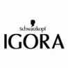 Igora